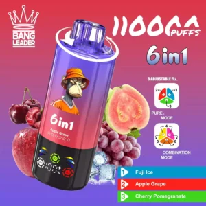 Bang Leader 110k Disposable Vape Wholesale
