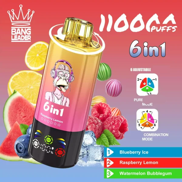 Bang Leader 110k Disposable Vape Wholesale