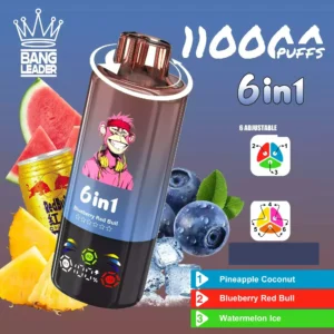 Bang Leader 110k Disposable Vape Wholesale (7)