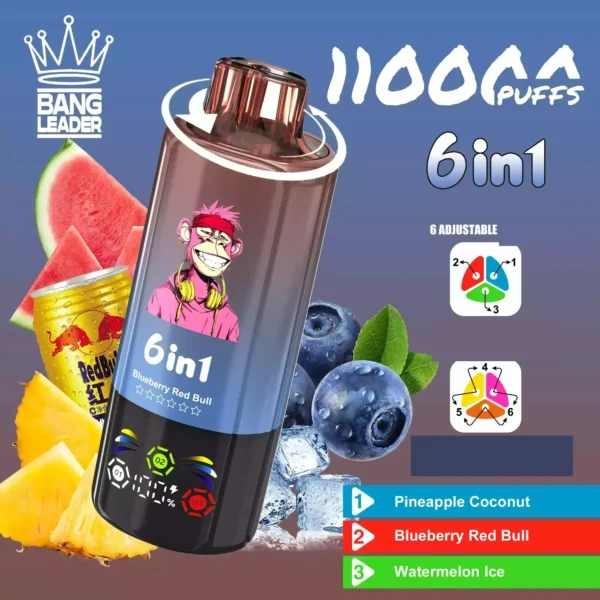 Bang Leader 110k Disposable Vape Wholesale