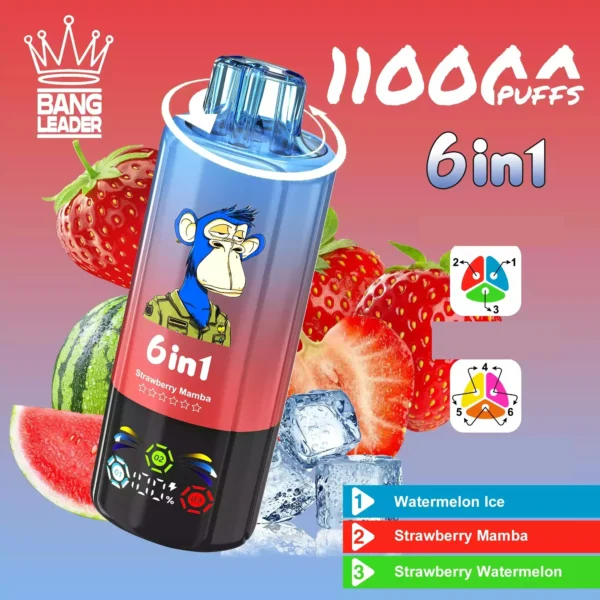 Bang Leader 110k Disposable Vape Wholesale