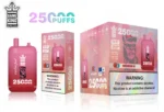 Bang king 25k Disposable Vape Wholesale