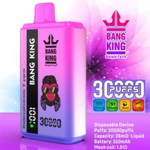 Bang king 30k Disposable Vape Wholesale (6)