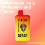 Bang leader 32K Disposable Vape Wholesale