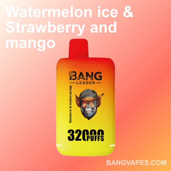 Bang leader 32K Disposable Vape Wholesale