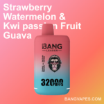 Bang leader 32K Disposable Vape Wholesale