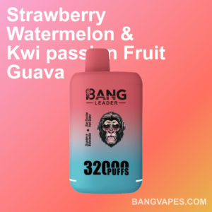 Bang leader 32K Disposable Vape Wholesale
