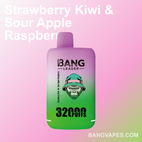 Bang leader 32K Disposable Vape Wholesale (2)