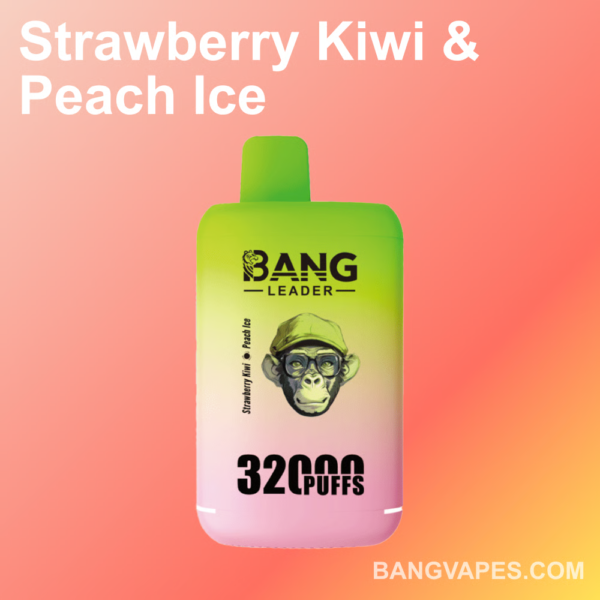 Bang leader 32K Disposable Vape Wholesale