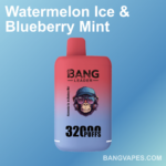Bang leader 32K Disposable Vape Wholesale