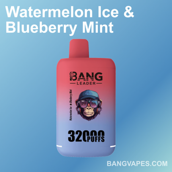 Bang leader 32K Disposable Vape Wholesale
