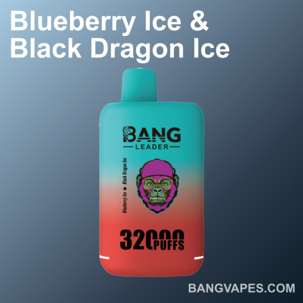 Bang leader 32K Disposable Vape Wholesale