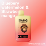 Bang leader 32K Disposable Vape Wholesale