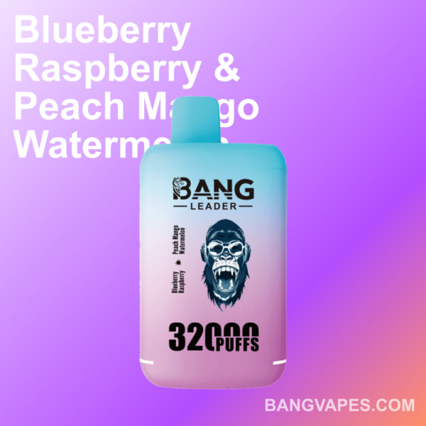Bang leader 32K Disposable Vape Wholesale