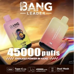 Bang leader 45k Disposable Vape Wholesale