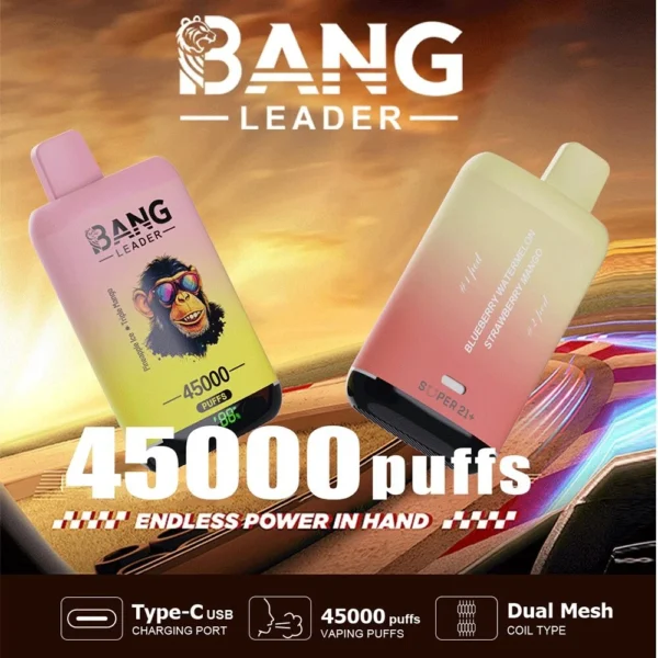 Bang leader 45k Disposable Vape Wholesale