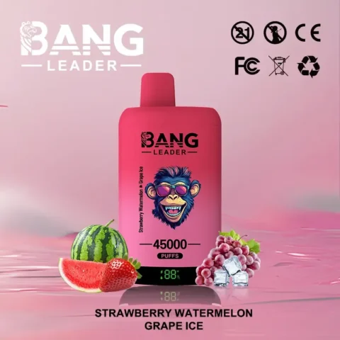 Bang leader 45k Disposable Vape Wholesale (1)