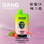 Bang leader 45k Disposable Vape Wholesale