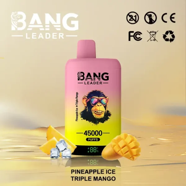 Bang leader 45k Disposable Vape Wholesale