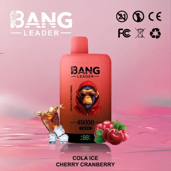 Bang leader 45k Disposable Vape Wholesale