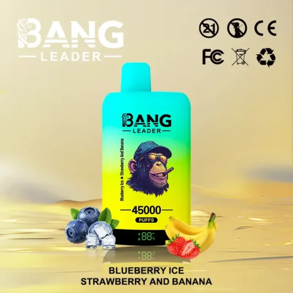 Bang leader 45k Disposable Vape Wholesale