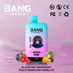 Bang leader 45k Disposable Vape Wholesale