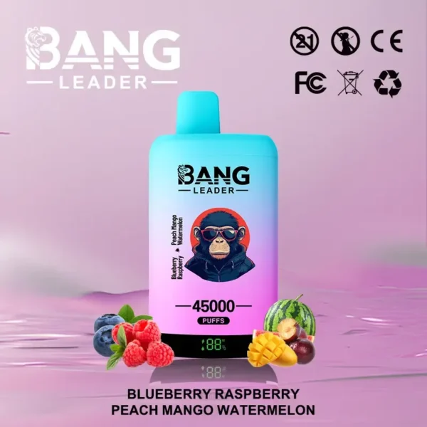 Bang leader 45k Disposable Vape Wholesale
