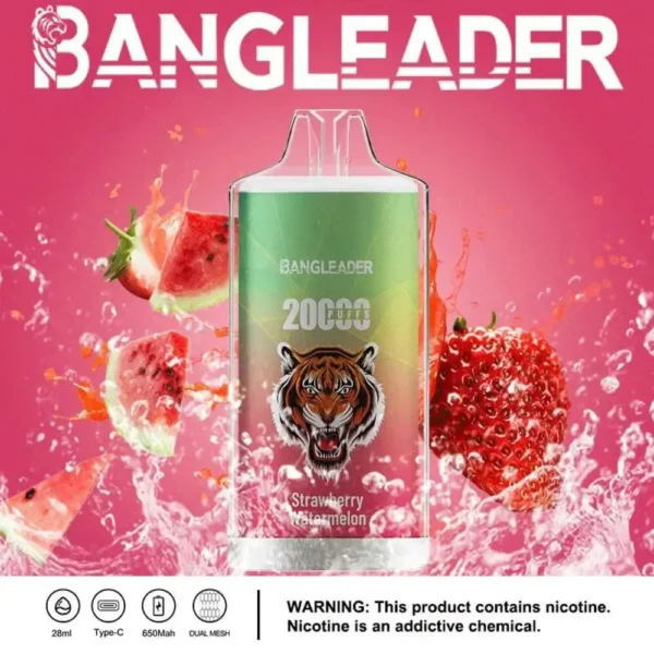 Bang Leader 20K Disposable Vape Wholesale