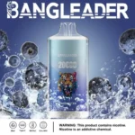 Bang Leader 20K Disposable Vape Wholesale