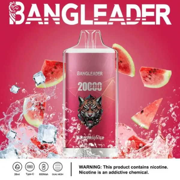 Bang Leader 20K Disposable Vape Wholesale