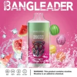 Bang Leader 20K Disposable Vape Wholesale