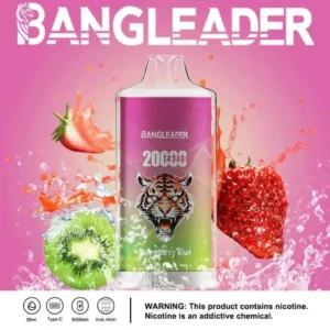 bang-leader-20000 (2)