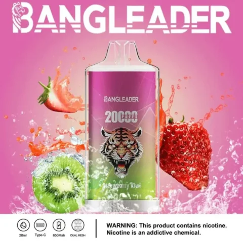 bang-leader-20000 (2)