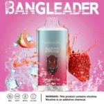 Bang Leader 20K Disposable Vape Wholesale
