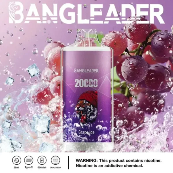 Bang Leader 20K Disposable Vape Wholesale