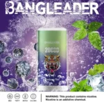 Bang Leader 20K Disposable Vape Wholesale